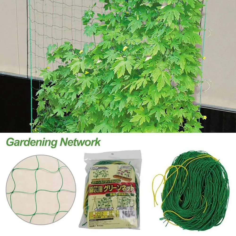 C дыня фрукты утренняя слава лоза цветок огурец сетка для растений скалолазания