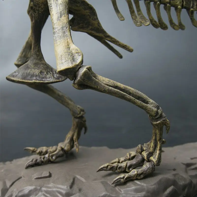 T Rex тираннозавр Рекса скелет динозавра Игрушечная модель животного коллектор супер Декор