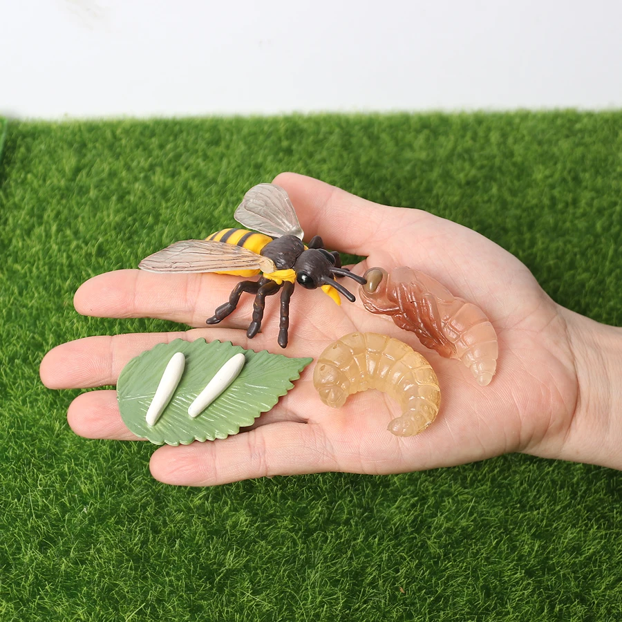 Фигурки бабочки лягушки божьей коровки пчелы паука курицы фигурки животных