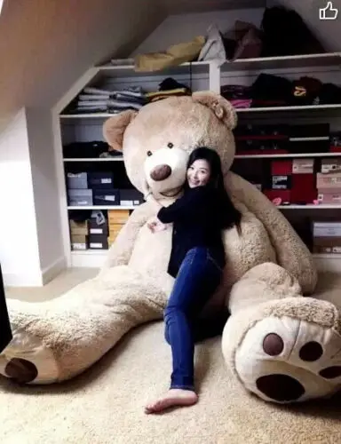 

260cm Giant Big Brown Teddy Bear Plush Doll Only Covered with Zippered Unfilled Cotton Stuffed Animals Plush Doll