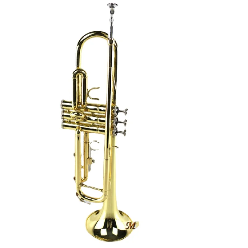 Западная духовая труба музыкальный инструмент лакированная Золотая Труба |