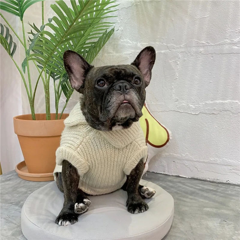 

dog clothes dog coat dog clothes for small dogs dog costume french bulldog chihuahua dog accessories four colors dog jacket