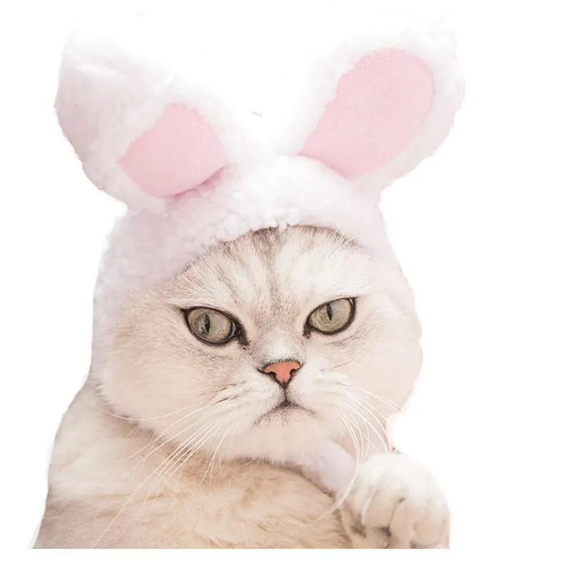 Новые головные уборы для домашних животных кошек кроликов собак мишек