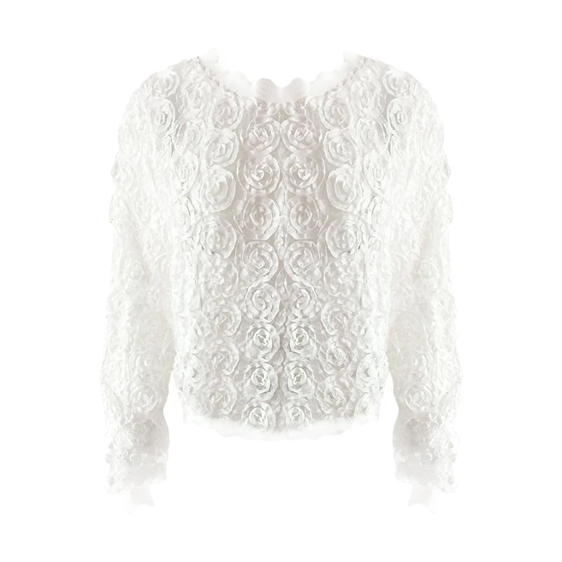 Autumn Winter fashion Short Loose Decals Mesh One-length Collar Long-sleeved Tops Women m9 | Женская одежда