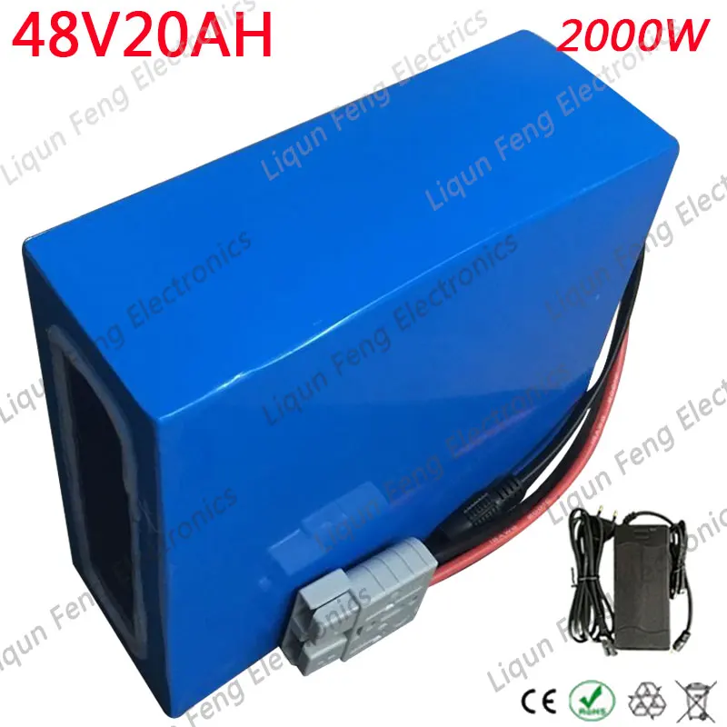 48V 20AH E-Bike Battery High Power 1800W Ebike Lithium Scooter with 54.6V 2A charger 50A BMS | Спорт и развлечения