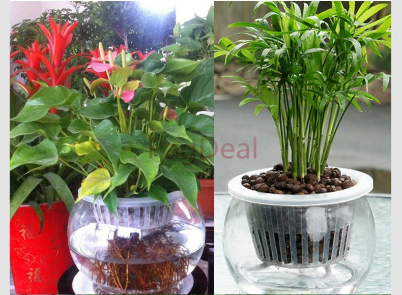 Большой горшок для выращивания растений корзина гидропонных защитная