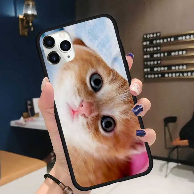 

Lovely animal cat kitten CUTE Phone Case for iPhone 11 12 pro XS MAX 8 7 6 6S Plus X 5S SE 2020 XR Soft silicone