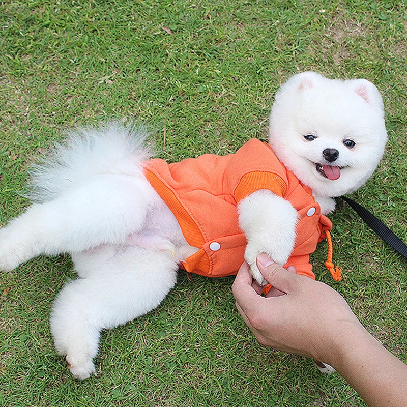 

Pet Winter Dog Hoodies for Small Dog Pug Bulldog Clothes Pomeranian Sportwear Dog Clothing Chihuahua Outfits Costume Dropping