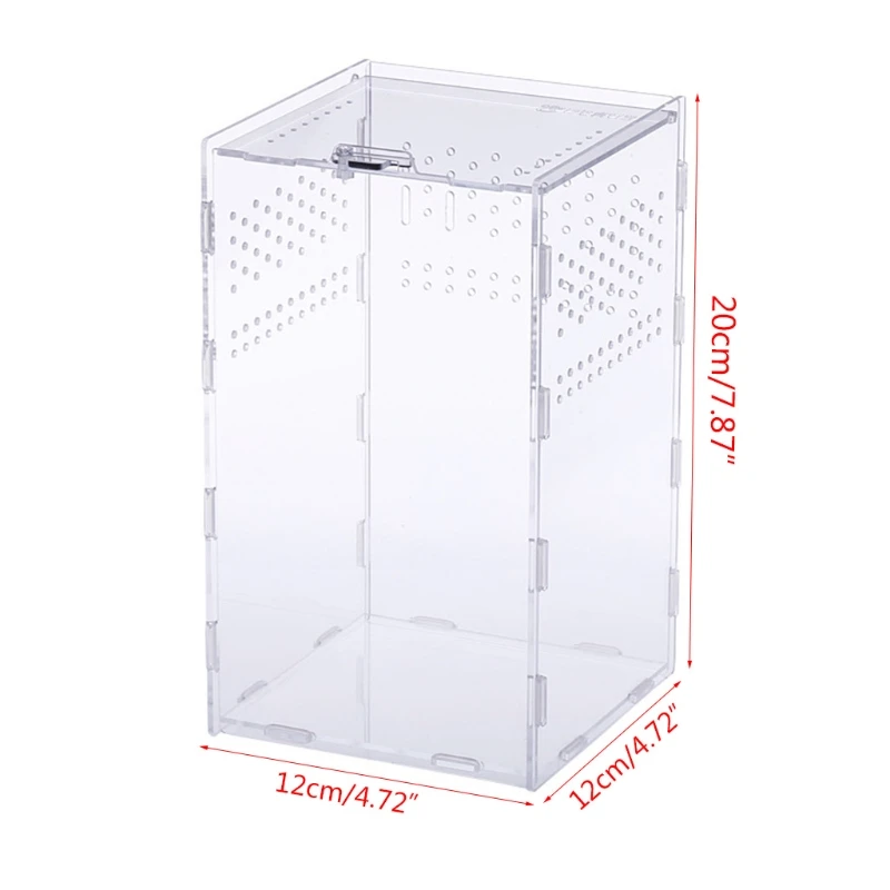 Контейнер для кормления рептилий акриловые контейнеры террариумов пауков