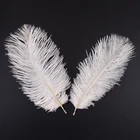 Разноцветные страусиные перья, 10 шт., для рукоделия, 15-20 см6-8 дюймов, Разноцветные перья, искусственные декоративные перья для вечерние