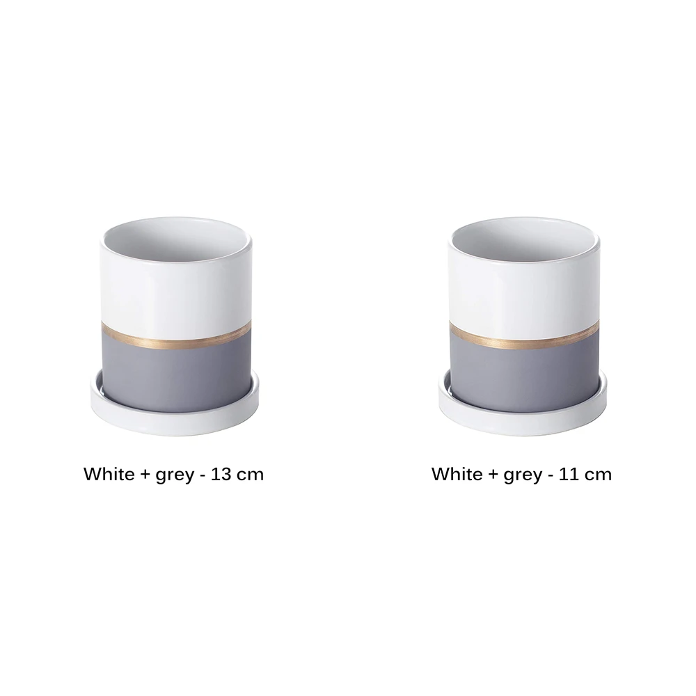 Зеленые растения в горшке украшение для садоводства новые современные