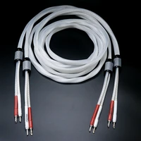 Netherlands 5nocc (99.997%) pure silver speaker cable upgrade Hi-end audio amplifier speaker cable