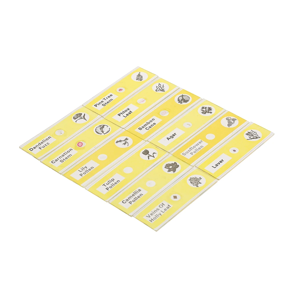 

48pcs/set Plastic Prepared Microscope Slides Animals Insects Plants Sample Specimens Slides Set for Kids Students