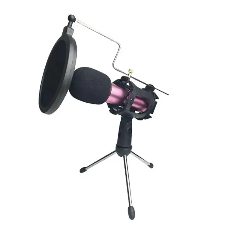 

Professional Desktop Microphone Tripod Stand With Pop Filter