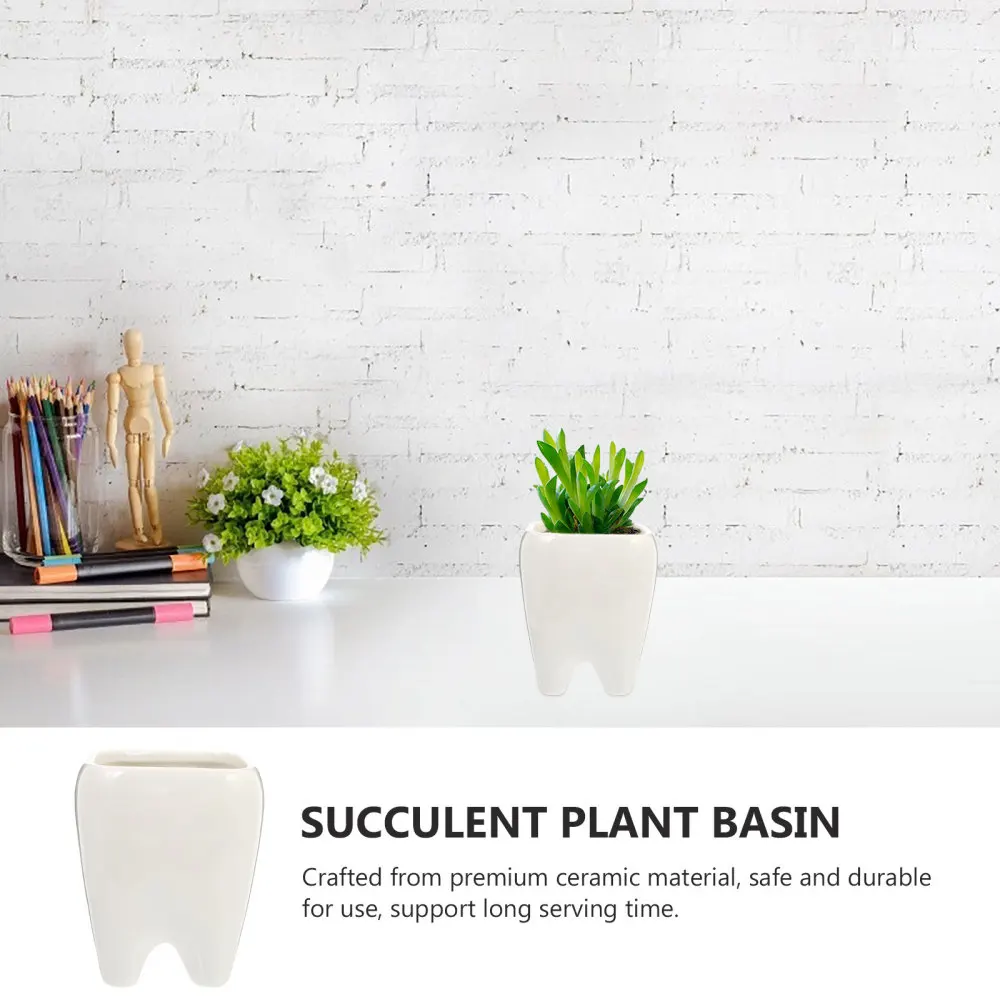 

2Pcs Tooth Shape Succulent Pot Flower Pot Table Decor Housewarming Gift