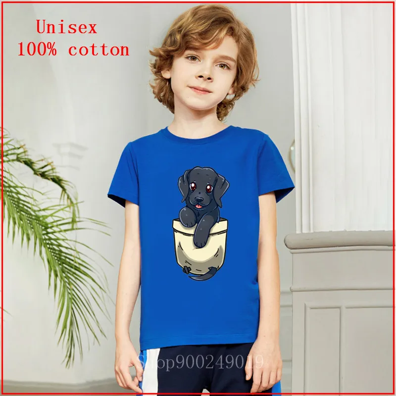 2020 летняя черная лаборатория Черный Лабрадор Собака ретривер Милая карманная