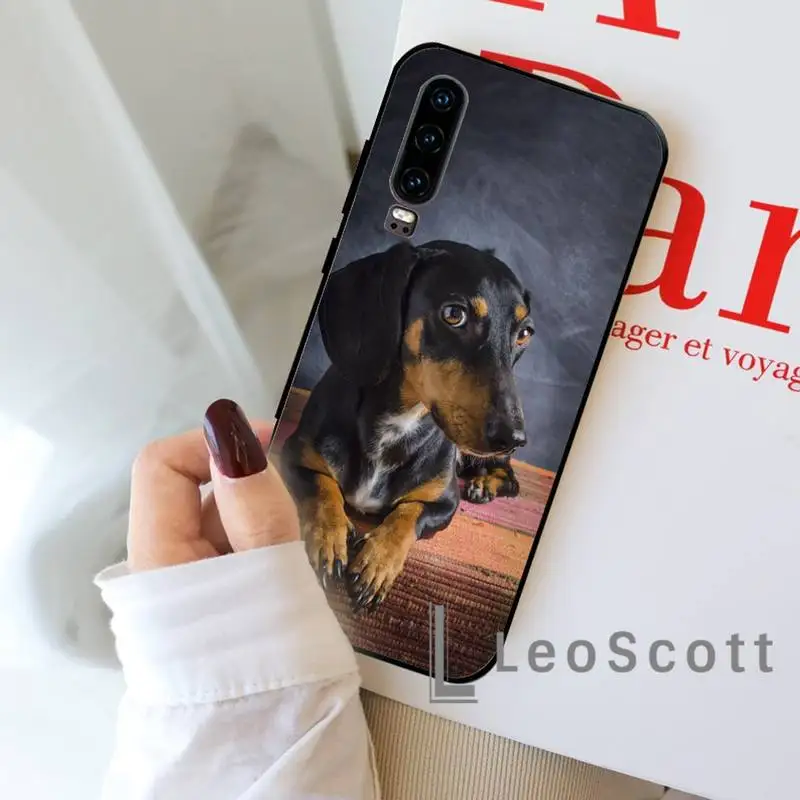 

Funny dachshund dog Phone Case For Huawei honor Mate P 9 10 20 30 40 Pro 10i 7 8 a x Lite nova 5t