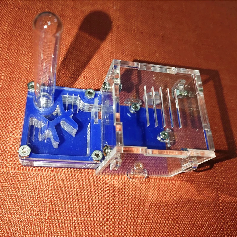 Муравей мастерской акриловые гнезда муравья ферма дом деятельности площадь