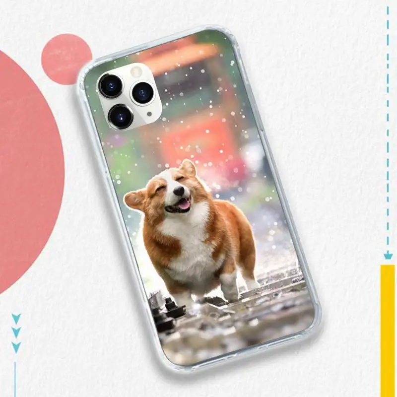 

Cute pet dog Corgi animal Phone Case for iPhone 11 12 pro XS MAX 8 7 6 6S Plus X 5S SE 2020 XR