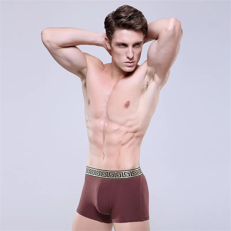 Повседневное хлопковое нижнее белье для мужчин в деловом стиле мужские боксеры с