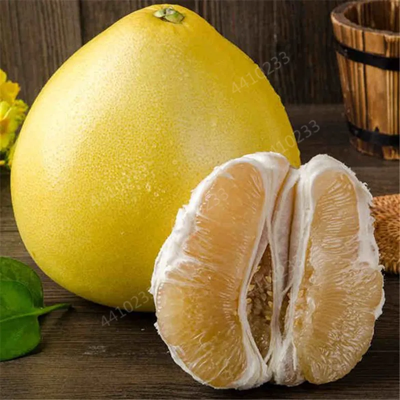 10 шт. искусственный помело |