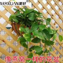 Цветочный горшок с хлорофитумом, подвесной цветочный горшок с epipremum Aureum, крутой креативный суккулент, большой круглый железный арт, Кокосовая Пальмовая корзина Fl