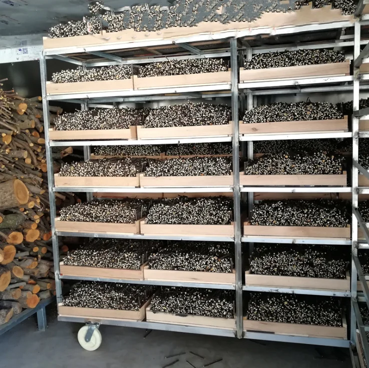 50 г/компл. кролик Шиншилла морская свинка белка укус молярная apple птичка на ветке