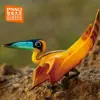 Изображение товара 1