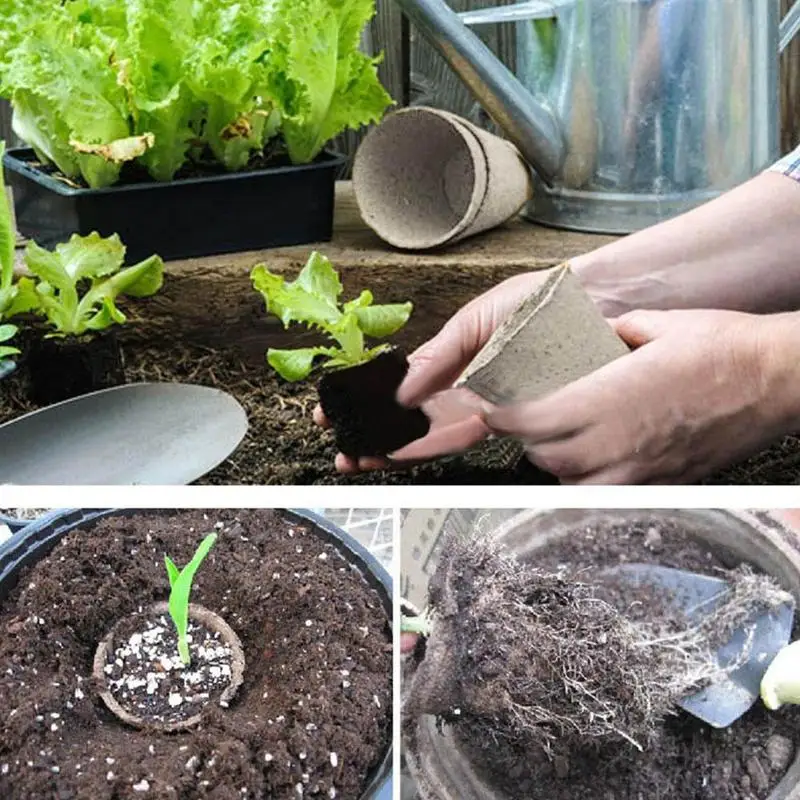 

Biodegradable Plant Nursery Cup Moisture-Proof Round Plant Paper Bucket Environment Improve Ecological L5B6