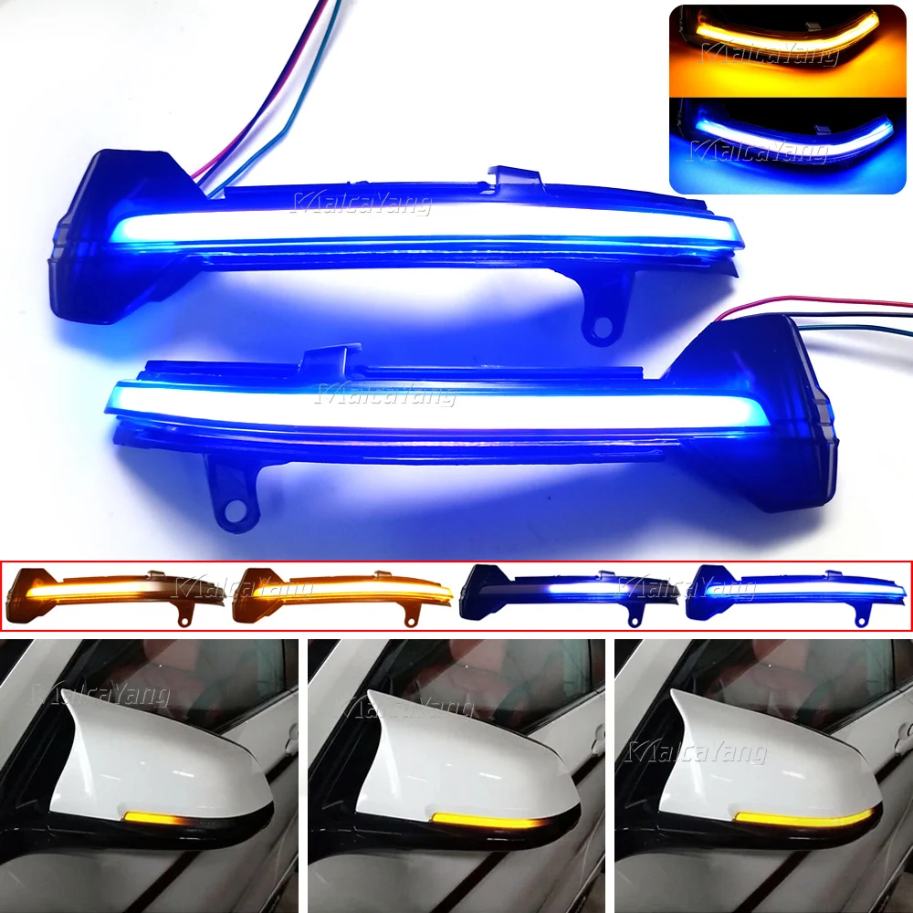 

2pcs For BMW 5 6 7 Series F10 F11 F07 F06 F12 F13 F01 Dynamic Turn Signal LED Rearview Mirror Indicator Blinker Repeater Light