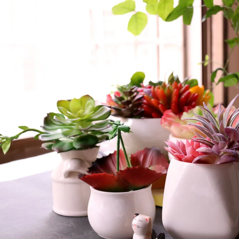 Большие зеленые красные розовые белые синие Искусственные суккуленты