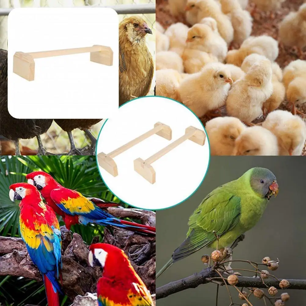 

Teeth Grinding Coops Accessories Hen Perch Play Stand for Large Birds