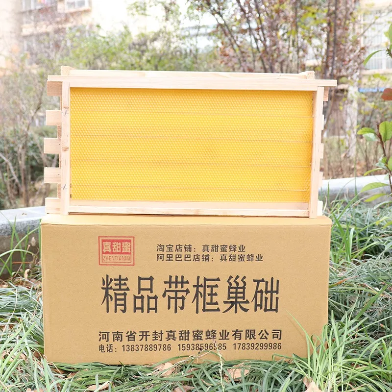 

Honeybee Nest Foundation Finished Framed Bee swax Pine Box keeping Tool 10 Pcs