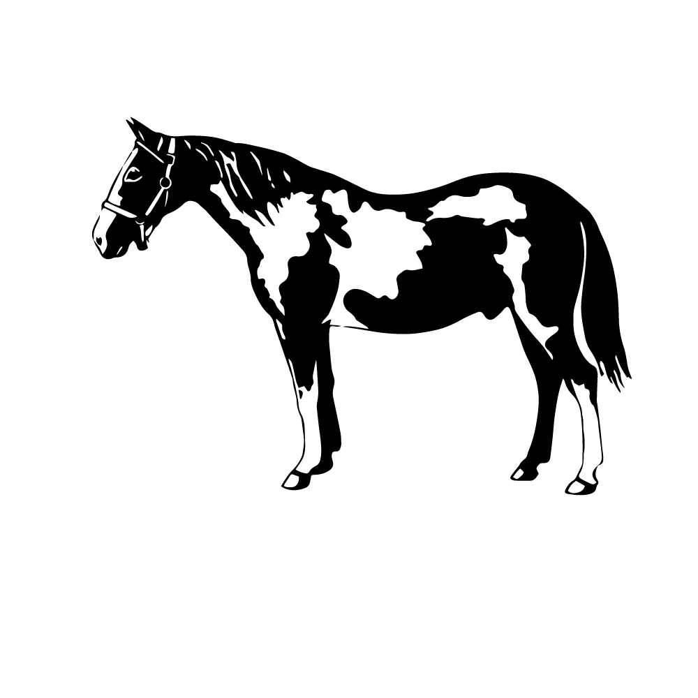 

Beauty Horse Auto Stickers On The Car Fun Personality Car Sticker Decal Car Styling