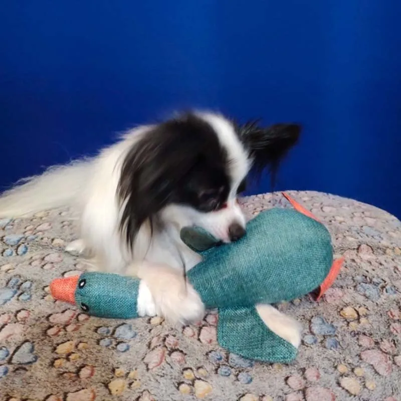 

31cm Funny Dog Toys for Cat Durable Plush Pet Toys Bite Resistant Denim Puppy Chew Toys for Kitten Pet Supplies Dog Accessories