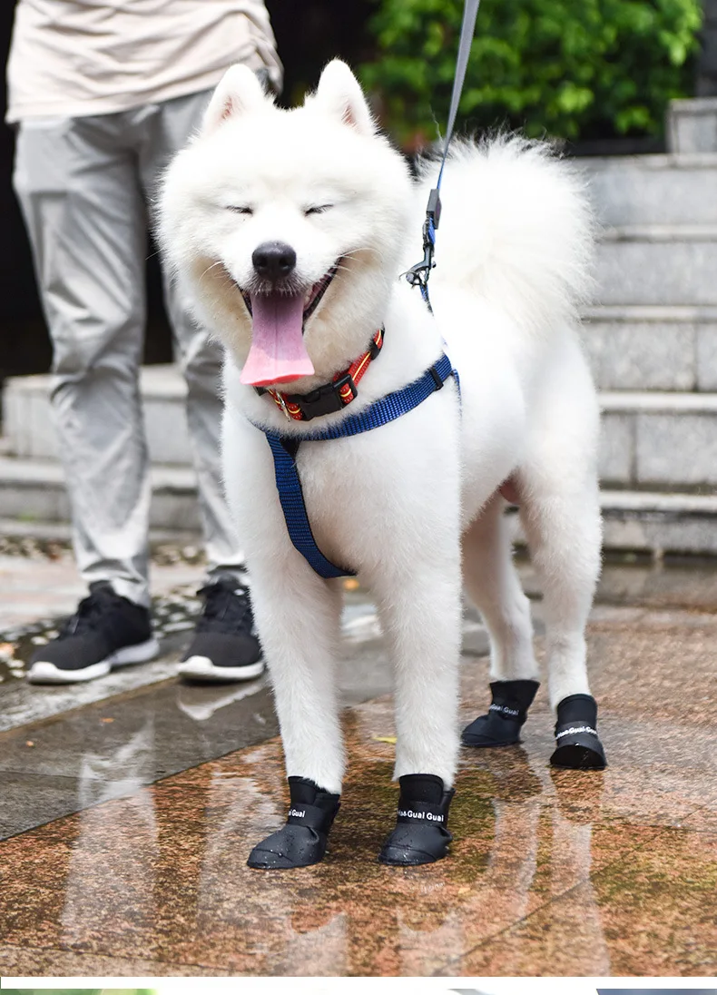Новый Милая Собака Сапоги Водонепроницаемыми Защитный Резиновый Pet Дождь обувь