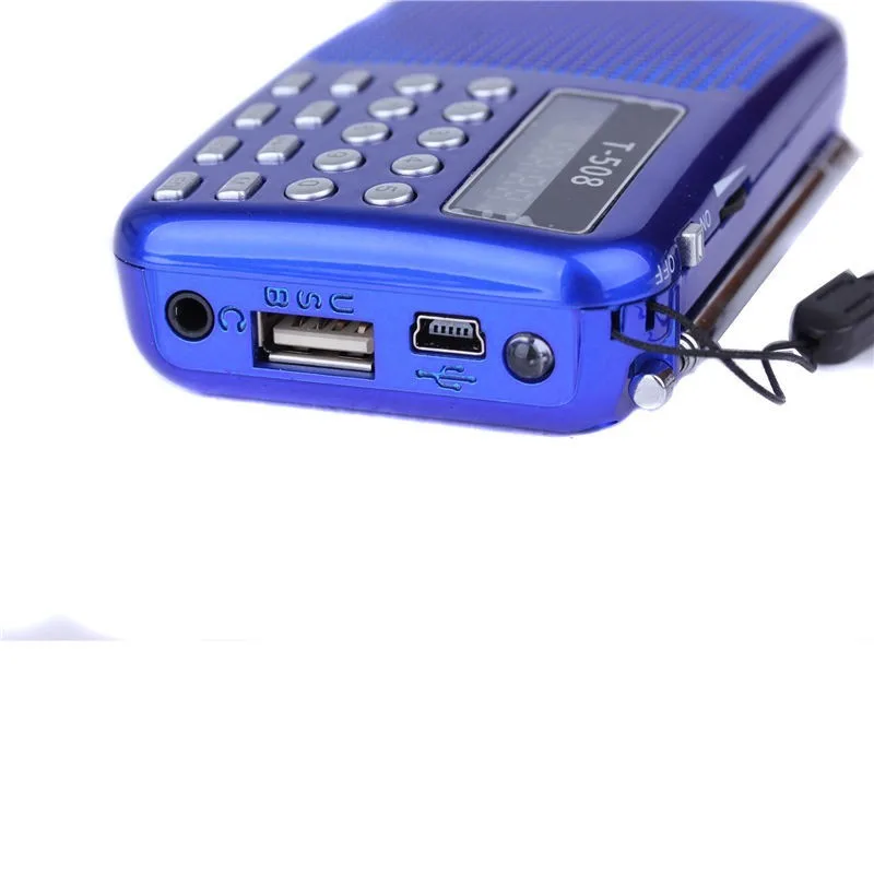 REDAMIGO горячая Распродажа цифровой фм радио Micro SD/TF USB диск mp3 ЖК дисплей Дисплей