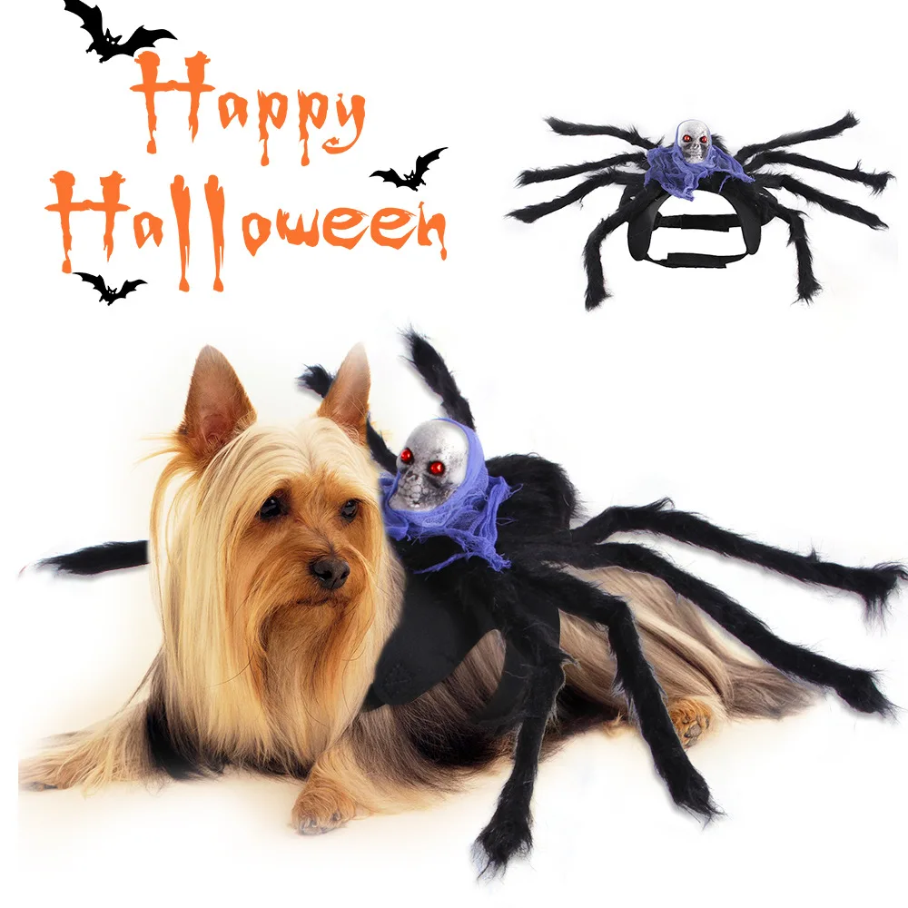 

Pet Spider Chest Back Halloween Creative Cat Dog Small Dog Skull Costume New Product