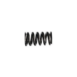 Taiwan EXA 290&291R and DNM DV-22&DV-22AR Scooter Bicycle Rear Shock Absorber Special Spring 30.4×85mm