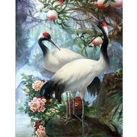 amtmbs birds red crowned crane diy painting by numbers adults for drawing on canvas coloring by numbers wall painting decor