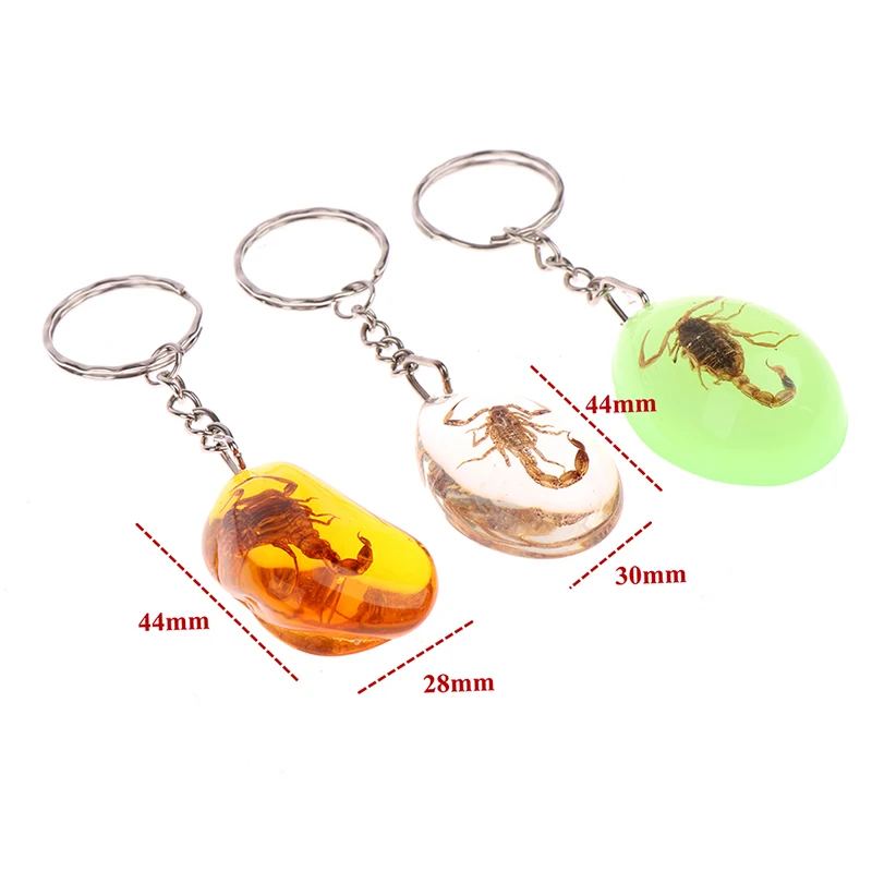 1 шт. очарование натуральный янтарь + цепочка для ключей смола насекомых