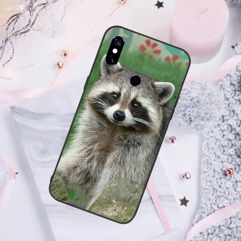 

animal Raccoon Phone Case For Xiaomi Redmi 7 8 9t a3Pro 9se k20 mi8 max3 lite 9 note 9s 10 pro