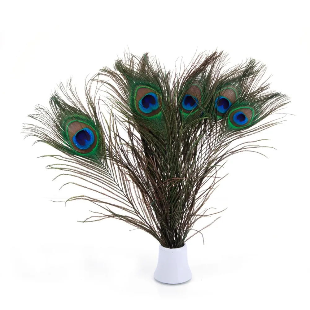 10pcs/Lot Fly Fishing Bait Material Natural Peacock Feather Tail Herls Quills Streamers Fly Tying Material Fly Fishing Bait
