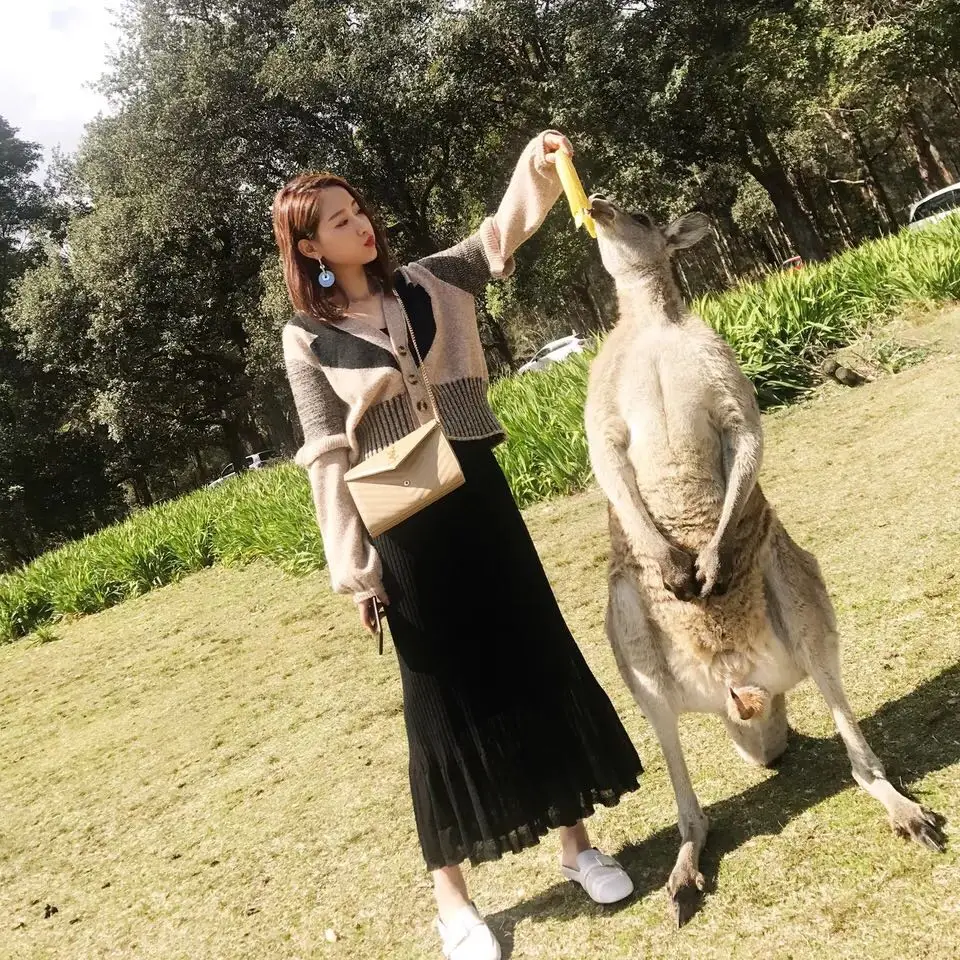 Женские Осенние костюмы женский комплект из двух предметов однобортный размера