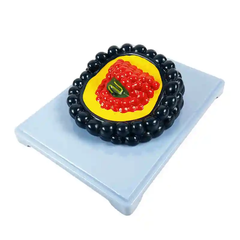 

Научный обучающий инструмент, микробиология, модель вируса СПИДа, бесплатная доставка