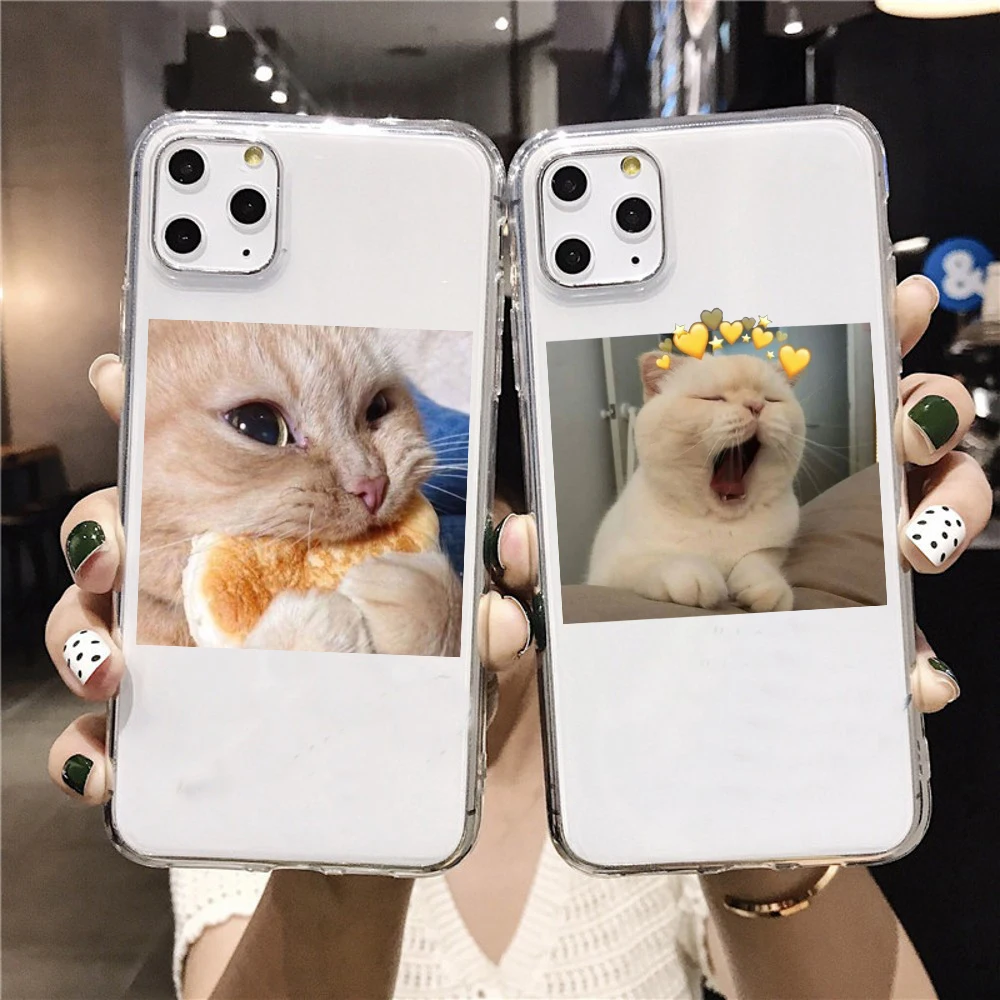 

Мягкий чехол из ТПУ с изображением милой кошки съедобного хлеба для iPhone 11, 7, 8 Plus, XS, XR, чехлы для iPhone 12 Pro MAX, SE20, популярный чехол с забавным диз...