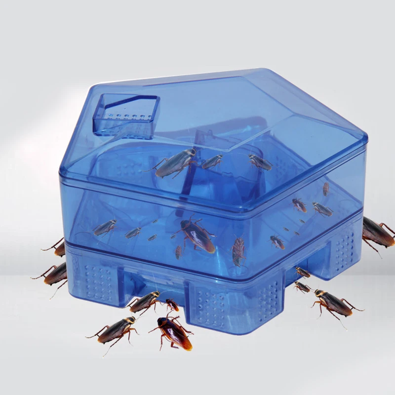 

Safe Efficient Anti Cockroaches Killer Plus Large No Pollute Cockroach Trap For Home Office Kitchen