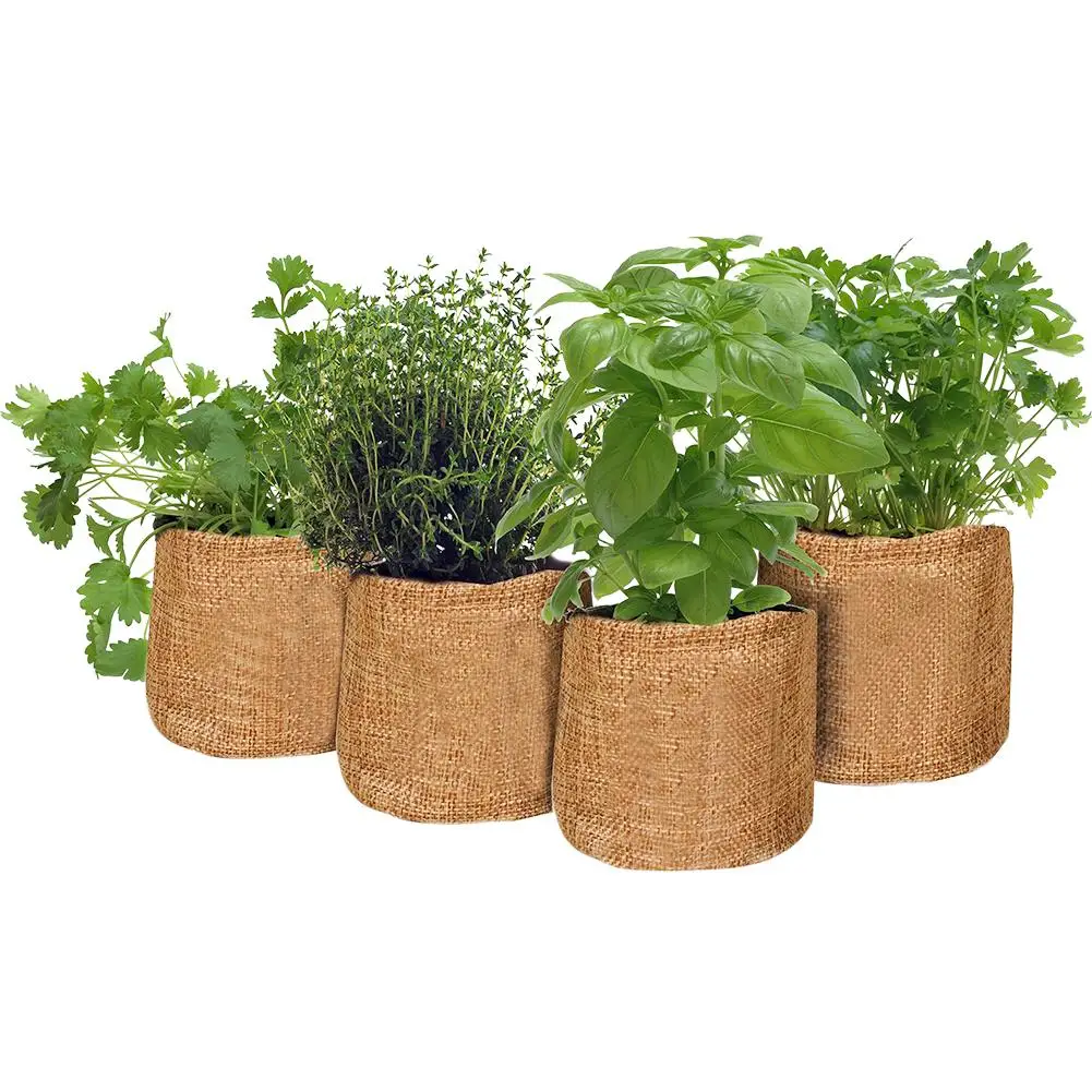 Сад Starter Kit растение ручной работы для выращивания горшок Бумага семян детской