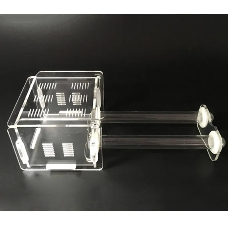 Новая акриловая пробирка гнездо живой муравей деятельности области муравья