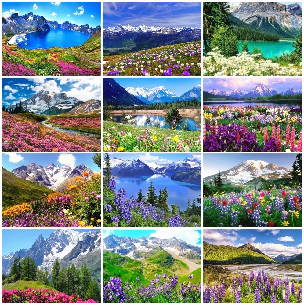 

AZQSD Painting By Numbers Mountain Drawing On Canvas Acrylic Paint Unframe Coloring By Numbers Flower Landscape Unique Gift